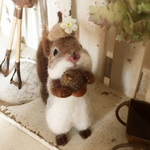 冬毛もふもふキタリスちゃん（どんぐり帽子）