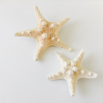 2個セット☆ヒトデヘアピン☆スターフィッシュ