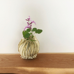 一輪挿し(ツバキ)