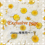 chieno.様専用ページ