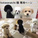 kotasoraichi様愛犬ちゃん🎵