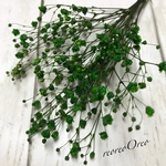 かすみ草 ハーブグリーン プリザーブド