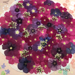 ♡new♡ ♡可愛いカラーがたくさん♡  ♡押し花セット♡
