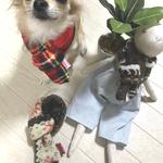 犬猫  あたたかマフラー3種類