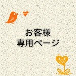 【skr様専用ページ】メタルプレート＆繊細シルバークリア大ぶりフープ☆大人シックなイヤリング・ピアス