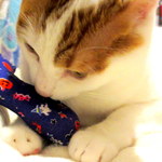 ネコのまたたびおもちゃ＊ハロウィン柄２コセット