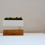 cement-wood-moss-vase13