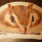 【予約販売】シマリス ビーズクッション