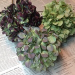 秋色紫陽花3点セット