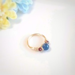 カイヤナイトとガーネットの14kgfリング