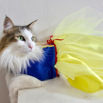 白雪猫姫ドレス