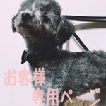 オーダーページ