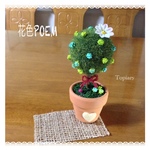 小花のミニトピアリー♪(白花)