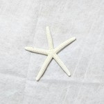 6-8cm スターフィッシュ ヒトデ 素材