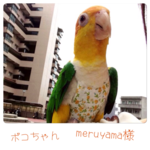 95-10　フライトスーツ★バードダイパー
