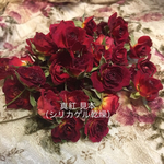ミニ薔薇 真紅 ドライフラワー★シリカゲル乾燥20輪セット★おまけ付き★ミニローズ  