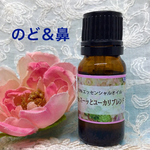 のど＆鼻のトラブルに✨ユーカリブレンド