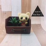 箱の中の黄色いネコちゃん