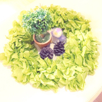 送料同梱対応