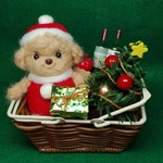 🎅トイプーちゃん🎄X'masパーティー🎉のお買い物してきたよ～🌼