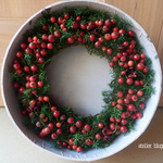 atelier blugra八ヶ岳〜（定形外郵便発送）BOX入りMiniWreathノイバラの実