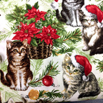 【50×50】海外 USA ファブリック　クリスマス猫ちゃん　生地