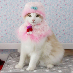 ロシアンにゃんこ(ピンク)