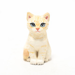 コルクのシャムトラ猫・クリーム