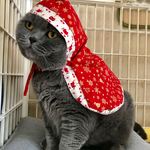 猫ちゃんのクリスマスケープ🎄🎅