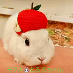 【ご予約分】Ｔ様ご予約分 りんごの帽子