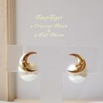 ☆再々販／２WAY／宇宙シリーズ／優しい月（ポストピアス／12mmパールキャッチ、シリコンキャッチ）