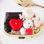 julliet7様オーダー♡ピルケース