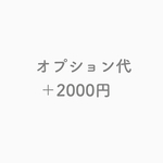★オプション代 ＋2000円★