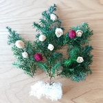  ソフトヒムロスギ クリスマス花材 ハーバリウム花材