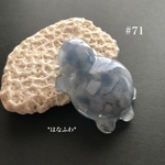 *水亀#71（ブルーカルサイト）