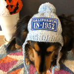 【18AW#23】犬用ニット帽