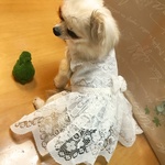 vie heureuse様専用 総レースドレス