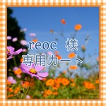 reoc 様専用カート ブライス ワンピース ヘアリボンセット