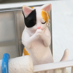  祈り(三毛猫編)