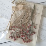 ＊ローズヒップのドライフラワー♡洋書つき＊