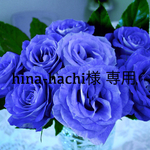 hina -hachi様  御予約品 ペアブレスレット