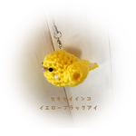 ルチノー イエローブラックアイ✾セキセイインコ 小鳥 あみぐるみ  ストラップ