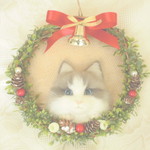 再販 猫のいるクリスマスリース