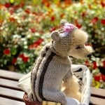 うり坊セーター&帽子 XS