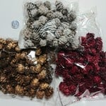 【激レア❗】ミニツガのシックゴールド・ウォッシュホワイト・クイーンレッドラメ/小分け販売 