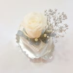 White Christmas Cake！1-D   / 181022