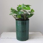 *グリーンアイビー*GreenPaint缶*