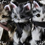 heikeya様専用オーダー手乗りサイズ猫ちゃん№829
