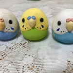 コロコロセキセイインコ（大）