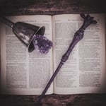 ◆送料込み◆魔法の杖*アナミュラス*